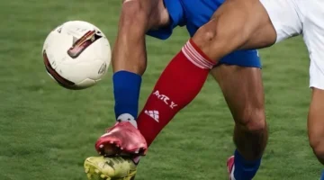 رسالة اليوم.. عمرو الدردير يعلن عودة الأسد لمكانه بعد فوز الأهلي